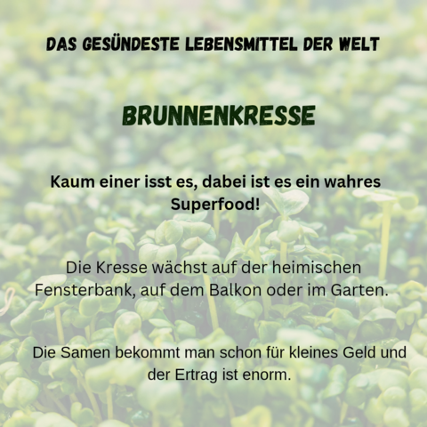 Brunnenkresse das Superfood